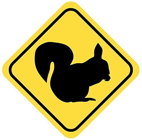 Samunshi® Eichhörnchen Warnschild Warndreieck Aufkleber Achtung Vorsicht Tier - 25x25cm mehrfarbig