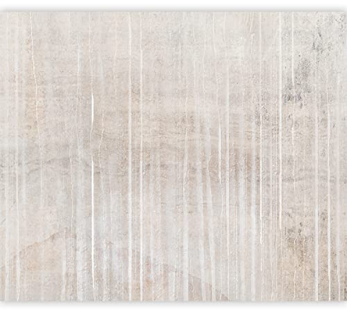 murando - Vlies Fototapete Betonoptik 500x350cmVlies Tapeten Wandtapete XXL Wanddeko Mustertapete Design Wand Dekoration Vliestapete Wohnzimmer Schlafzimmer Büro Flur Beton Effekt beige grau