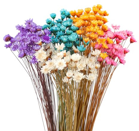 Lot de 320 tiges de fleurs séchées brésiliennes - Petite étoile - Marguerite - Fleurs séchées décoratives - Mini bouquet de marguerite et camomille - Pour bricolage, décoration de mariage, cadeau