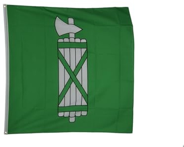 Flaggenfritze Hissflagge Schweiz Kanton St. Gallen 120 x 120 cm - quadratische Kantonsfahne für Mast, Garten & Event - 2 Metallösen