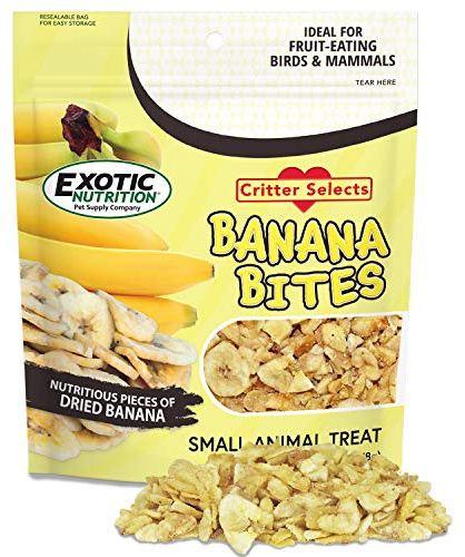 Exotic Nutrition Banana Bites - Healthy Natural Dried Fruit Treat - for Chinchillas, Ferrets, Parrots, Hamsters, Hedgehogs, Guinea Pigs, Rabbits, Prairie Dogs, Degus & Other Small Pets (5.5 Ounce)