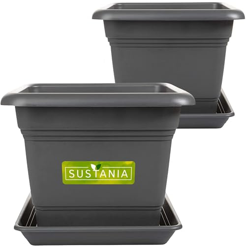 2friends Sustania Pflanzkübel Eckig 28x28 Anthrazit 2er Set - Robuster Blumentopf GroÃŸ, Ãœbertopf Ideal für Tomatenpflanzen, Eckige Pflanztöpfe Kunststoff für Garten & Balkon
