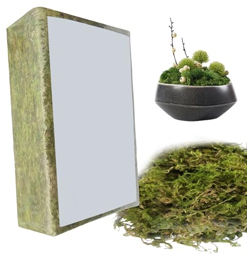 500g Sphagnum Moos für Pflanzen: Sphagnum Moos Pflanzen, Natürliches Spagnummoos für Pflanzen, Langfaser-Sphagnum-Torfmoos für fleischfressende Pflanzen, Orchideen, Sukkulenten und Reptilien