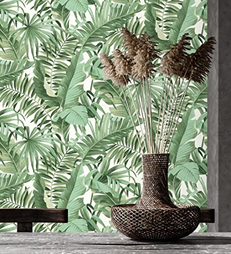 GAULAN 500680938 - Carta da parati lavabile tropicale de foglie di palma e banana colore verde per pareti soggiorno cucina camera da letto sala da pranzo - Campione DIN A4