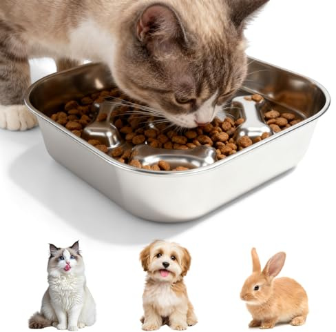 Gamelle Anti Glouton, Gamelle Chien En Acier Inoxydable 304, Gamelles D'alimentation Lente, Gamelles Pour Chien, 21,5*21,5*3,8cm Bols Pour Chiens À Alimentation Lente Pour Animaux De Petite Taille