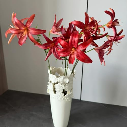 lilien kräutergarten pflanztöpfe hochbeete für garten hochbeet balkon zimmerbonsai bonsai pflanztopf büropflanzen blumenzwiebeln mehrjährig winterhart gartenblumen zimmerpflanzen 5zwiebeln