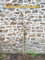 Abricotier Polonais - Scion ramifié - 150 cm - racines nues | Arbre de 3 ANS