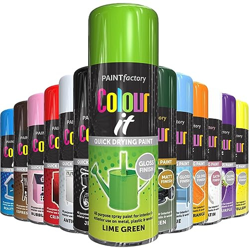 AlezyB - Lime Green 400ml All Purpose Spray Paint | Use on Metal, Wood, Plastic and Multipurpose Aerosol Professional Quality Perfect Finish, for Interior Exterior and Excellent Coverage
