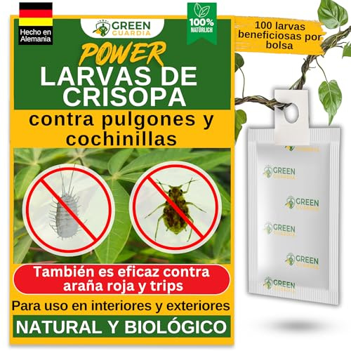 GREEN GUARDIA Power Florfliegenlarven-Eier gegen Blattläuse und Wollläuse – 10 Tüten - Biologisches Mittel zur effektiven Blattläuse und Wollläuse Bekämpfung für Zimmer- und Zierpflanzen uvm.