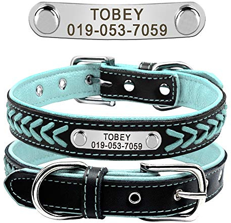 Berry Adjustable Leather Padded Custom Pet Dog Collars with Engraved Nameplate,Fit Cats and Small Medium Dogs (XS: Neck 8.5-11.5 (22-29cm), Blau)