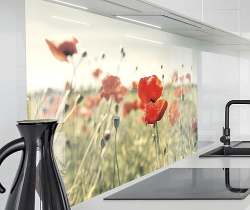 timalo Spritzschutz Wand für Herd, Küche Küchenrückwand Glasoptik | Acryl Glas 2mm | Glasrückwand Acrylglas Wandpaneele Rückwandschutz Platte | 120x60cm Mohnwiese, Blumenwiese