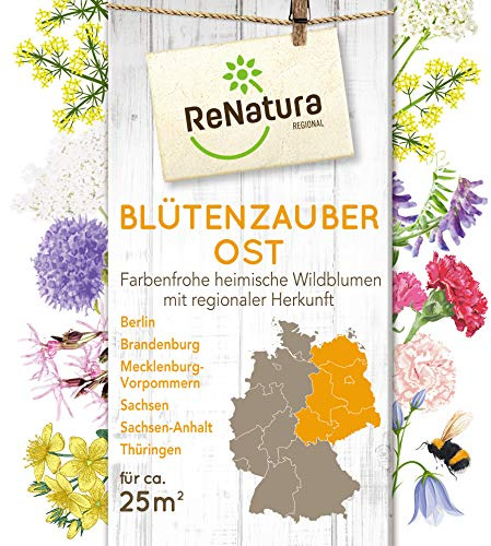 Greenfield ReNatura Blütenzauber Wildblumen Blumen Samen Region Ost 0,275kg für ca 25 m²
