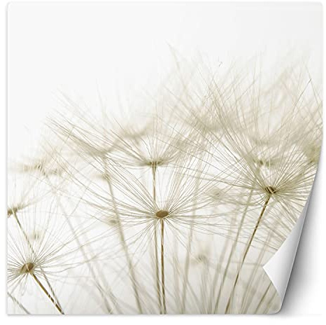 Feeby Papel Pintado Naturaleza Diente De León 300x300 cm Beige Fotomurales Decoración De Paredes Moderna Casa Oficina Despacho Cuarto De Invitados Diente De León Primer Plano Macro