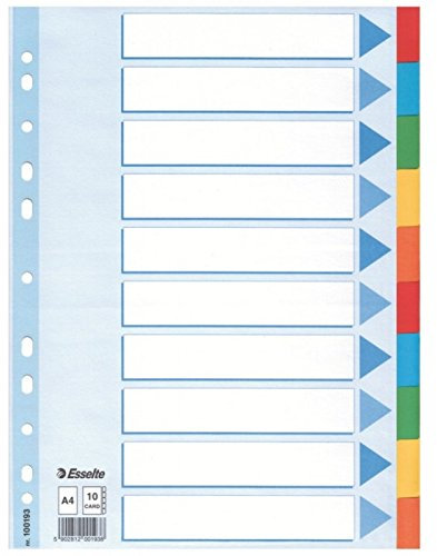 Leitz Kartonregister Standard Blanko, A4, Karton, 10 Blatt, weiss (2, 10-Taben)