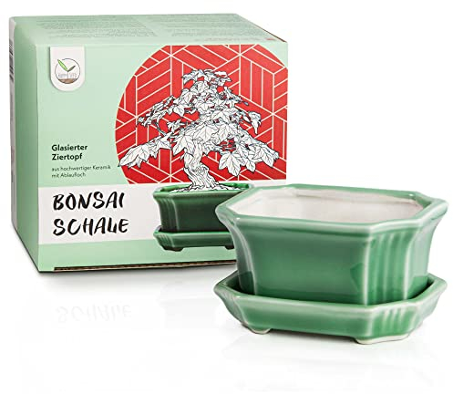 Bonsai vaso (piccolo) in ceramica con sottovaso in verde giada - vaso bonsai angolare per la perfetta presentazione del vostro bonsai da interno - 11 x 6,5 x 9 cm