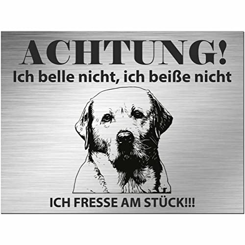 Indigos UG - Schild Labrador - bedruckt - Achtung Ich belle & beiße nicht, ich fresse am Stück! - Aluverbundplatte Edelstahl Look - 20x15 cm - Spruch - Deko Geschenkidee Hund Zaun Türschild