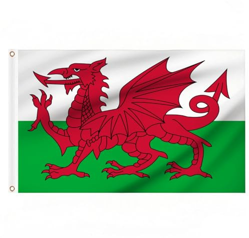 Welsh Flags 5ft x 3ft for St David's Day Party Decorations, Large Wales Flag with Brass Eyelets for Football Sports Events Decoration