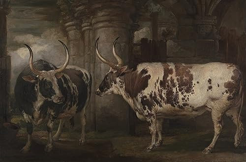 ZHAOSHAN Berühmte Gemälde Wanddekorationen Gemalde Wand-Kunst Bild Porträts von zwei außergewöhnlichen Ochsen das Eigentum des Grafen von Powis von einem berühmten Künstler für Wanddekoration 60x90cm