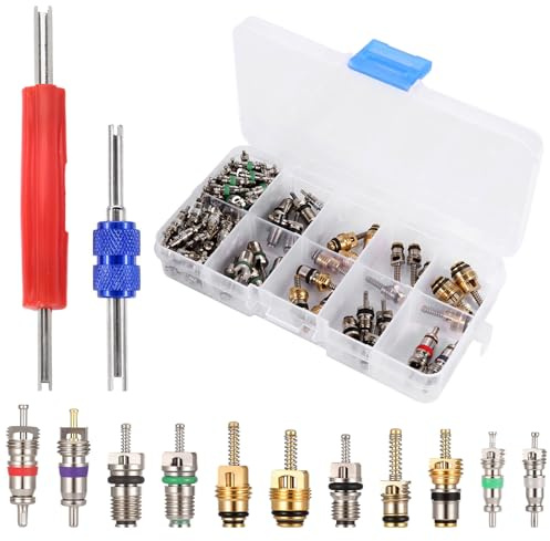 102 STÜCKE Ventileinsatz Auto Set, A/C Ventilkern R12 R134a Automotive Klimaanlage Kälte Reifen Ventilschaft Kernen Remover Tool Sortiment Kit Ventileinsatz Fahrrad Autoventil Ventilkern Werkzeugsatz