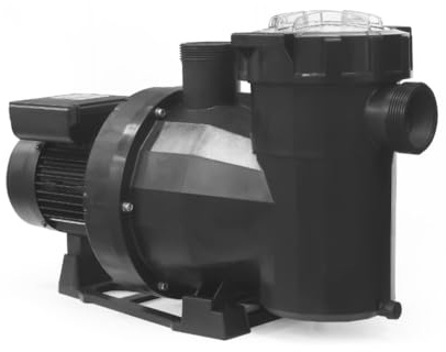 Astral Pool 65562 Filtrationspumpe Victoria Plus leise 1 PS einphasig