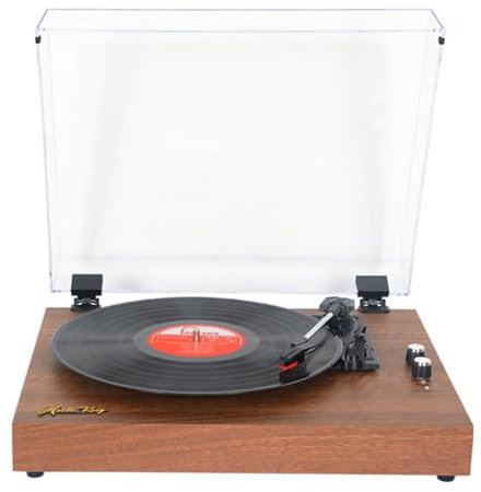 Docooler Retro-Schallplattenspieler, LP-Plattenspieler, tragbarer Plattenspieler, Vintage-Grammophon, 3-Gang-BT5.0, kabellose Lautsprecher, Line-In, Line-Out, Kopfhörerausgang