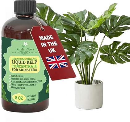 GARDENNOVA Premium Organic Seaweed & Kelp Superfood for Monstera Plants - 8 oz - Liquid Kelp Fertilizer Concentrate (Makes 25 Litres)