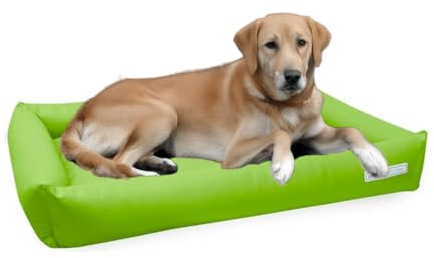 dogsfavorite, Hundebett Starter aus Kunstleder, Hundekissen, Pflegeleicht,100 x 75 cm, Limette