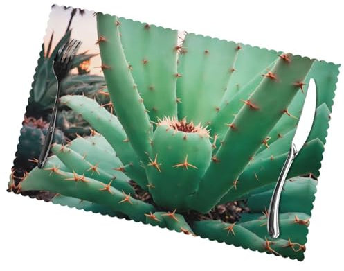 Agave Kaktus Tischsets, 6 Stück, 30,5 x 45,7 cm, hitzebeständig, waschbar, Party, Küche, Catering, Dekoration