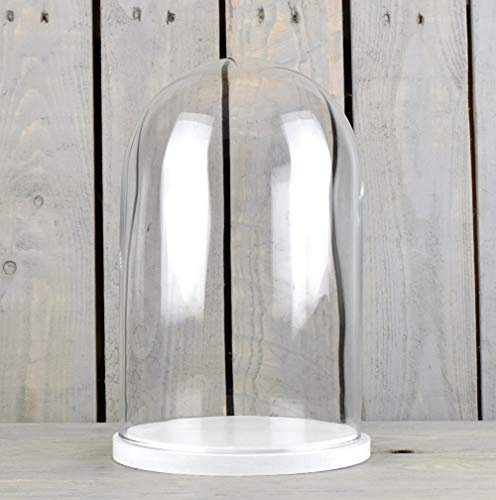 EMH - Copertura piccola in vetro con base in legno, altezza 27,5 cm, colore: Bianco