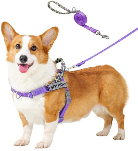 Wuffley No Pull Dog Harness with Handle and Reflective Strap for Outdoor Training, Walking and Running (Purple, M)