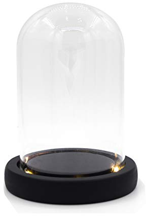 Nynelly Cúpula Decorativa de Vidro, Campana de Cristal con Base de Negra y de Luz, Cúpula Cristal Transparente para Decoraciones, Centro de Mesa y Antigüedades,9X12cm
