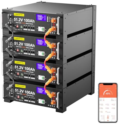 LISUATELI 4 Stück 48V 100Ah LiFePO4 Lithium Batterie mit 100A BMS, 20.48kWh Lithiumbatterie Serverschrank Solarbatterie für Solaranlage, Netzunabhängige Anwendungen, Energiespeicher
