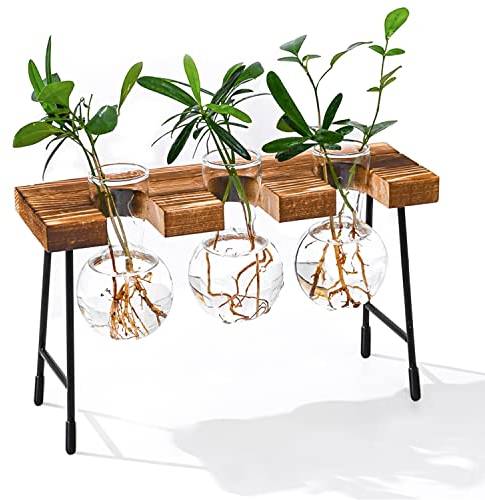 Hydroponik Glasvase Hängevase Blumenvase Tischvase Luftpflanzen Terrarium Schreibtisch Dekovase mit Holz Halter Glas Pflanzer für Büro Haus Garten Dekor(3 Vasen)