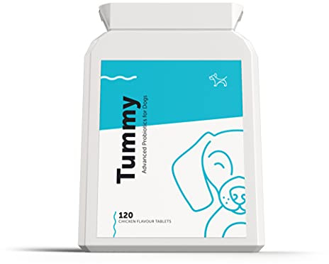 Tummy - Advanced Probiotic & Prebiotic for Dogs with Sensitive Stomachs, Gas, Itchy Skin | Digestive Enzymes to Better Digestive & Immune Health | 120 Tablets | 2 Billion CFUs | UK Made | Dog's Lounge