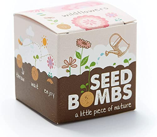 Die Stadtgärtner – Seedbomb „Wildblumen“ I 10 handgemachte Samenbomben mit 25 Arten Blumensamen I Enthält u.a. Kornblume, Ringelblume & Steinkraut I Mit ökologischem Saatgut & min. 2 Jahre haltbar