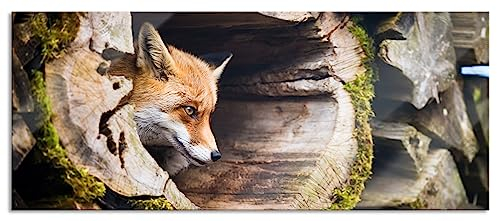 Pixxprint Glasbild Panorama, Wandbild aus Echtglas, Fuchs im Baumstamm, 120x50 cm, inkl. Aufhängung und Abstandshalter