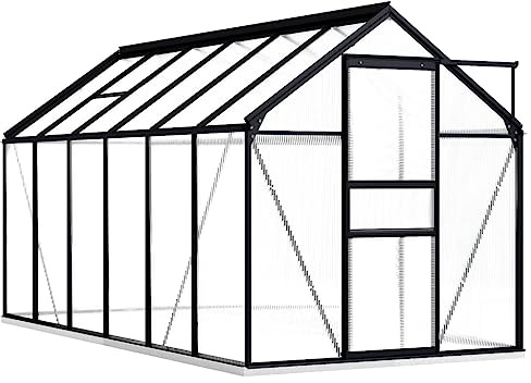 vidaXL Serre avec Cadre de Base Tente Abri Plantes Serre à Fleurs Serre à Plantes Jardin Extérieur Arrière-Cour Anthracite Aluminium 7,03 m²