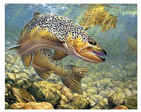 Puzzle 5000 Teile, Puzzle Erwachsene 5000 Teile, Unterwasserfische Impossible Puzzle, Puzzle Kinder Mädchen, Geschicklichkeitsspiel für die ganze Familie, Puzzle Erwachsene 5000 Teile-61.61x41.53 Zol