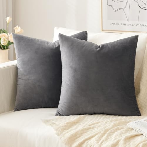 Slozzi 2er Set Samt Kissenbezüge Haushalt Dekokissen Dekorative Kissenhülle Weich Sofakissen für Sofa Schlafzimmer Wohnzimmer 40x40 cm Dunkelgrau | Haushalt Dekorative Kissenhülle Weich für Sofa Schlafzimmer Wohnzimmer