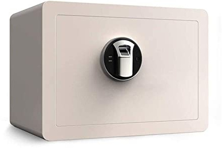 CLSDRZC Feuerfeste, wasserdichte Einlagensicherung, Fingerabdrucksicherung, Diebstahlsicherung, elektronisch, kann zur Installation von Mehreren Geräten befestigt Werden – 35 x 25 x 25 cm (für den