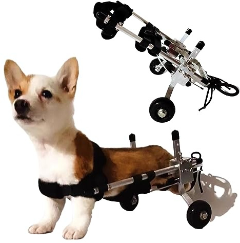 Sedia a rotelle per cani per gambe posteriori, carrello per la mobilità leggera e regolabile, per cani di piccola taglia, scooter di riabilitazione per animali domestici