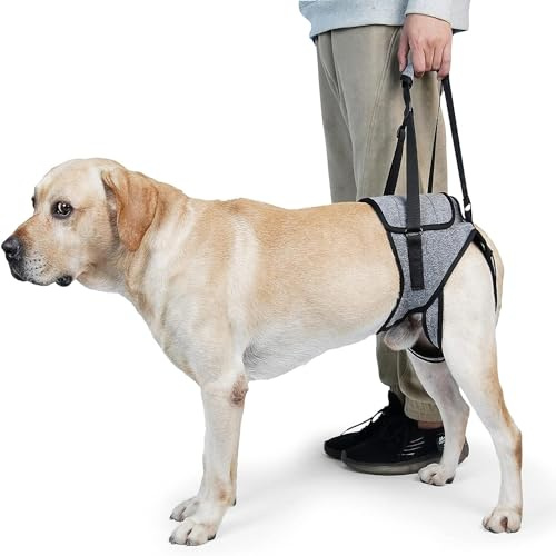 Pettorina Morbida Regolabile per Cani Disabili Feriti Artritici, Imbracatura Zampe Posteriori per Cani di Piccola Taglia Media Grande (S)