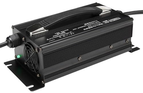 HYDTGZ Cargador Batería para Carretilla Elevadora 24V 30A, Cargador Batería Plomo Ácido 1200W para Vehículos Eléctricos, Carretillas Elevadoras Eléctricas Barredoras Eléctricas,B