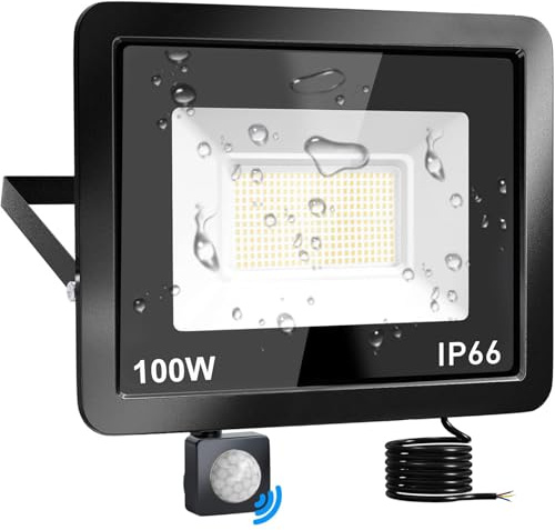 Phlbao LED Strahler mit Bewegungsmelder, 100W 10000LM, IP66 Wasserdicht, 6500K Kaltweiß, Außenleuchte für Garten, Innenhöfe, Garage