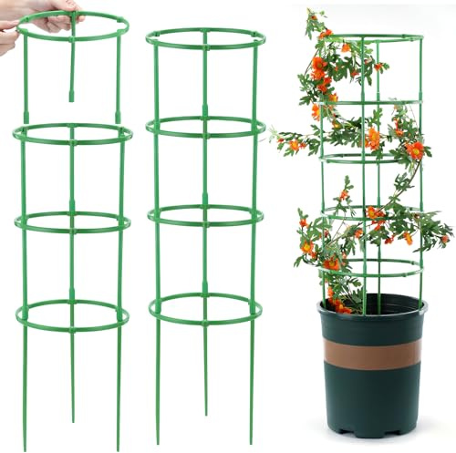Tomaten Rankhilfe, 200 Stück Tomatenkäfig mit Verstellbarer Höhe, Pflanzenstütze für Kletterpflanzen, Gurken Rankhilfe, Rankgitter für Tomaten, Tomatenturm, Blumenstütze (100 Ringe + 100 Stangen)