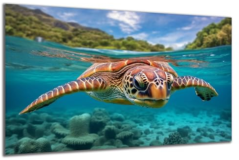 DARO Design - Wand-Bild auf 6mm HDF 70x50 cm Meeres-Schildkröte Wasser - Wand-Deko Bilder Geschenk