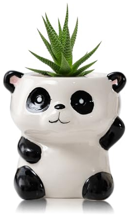 DIYOMR Mini pot de fleurs en céramique en forme d'animal de dessin animé pour plantes succulentes d'intérieur - Pot de fleurs d'intérieur lisse et brillant - Plantes non incluses (panda)