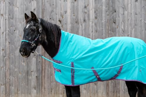 Pferdedecke Regendecke Ripstop 1200d Wasserdicht high-Neck (Türkis 01 - Violett 01) (145 cm)