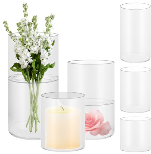 APACALI 6 Stück Glasvase Gross, 10/15/20cm Hoch Blumenvase Zylindrisch, Klar Glasvase Rund Schmale Vase klarem, Glas Blumenvase für Orchideen, Rosen, Tulpen, Pampasgras, Tischdeko, Kerze