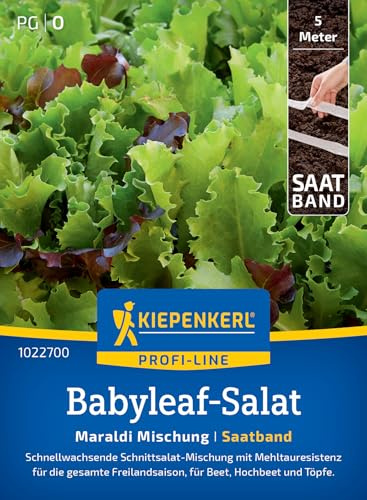 Kiepenkerl Babyleaf-Samen Maraldi Mischung 1022700, Gemüsesaat | Resistente Salatsamen für gesunde Küche, für Pflücksalat und Kopfsalat, Inhalt für 5 laufende Meter, Wuchshöhe ca. 7-8 cm